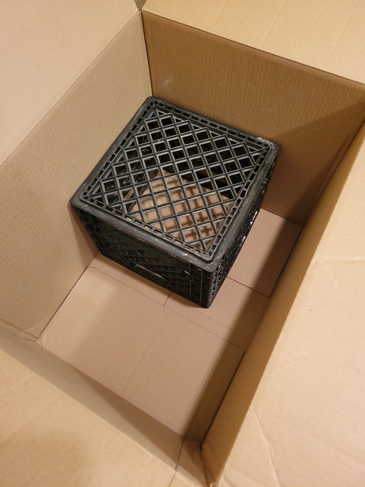 Large Moving Boxes (Pack of 5)